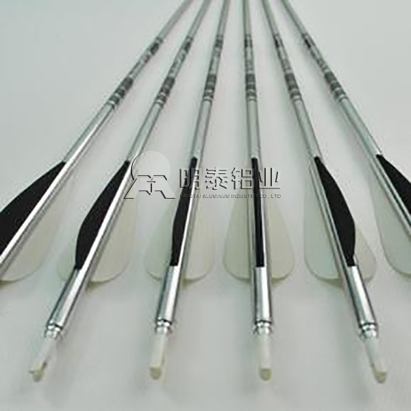 202491免费观看网站用于弓箭