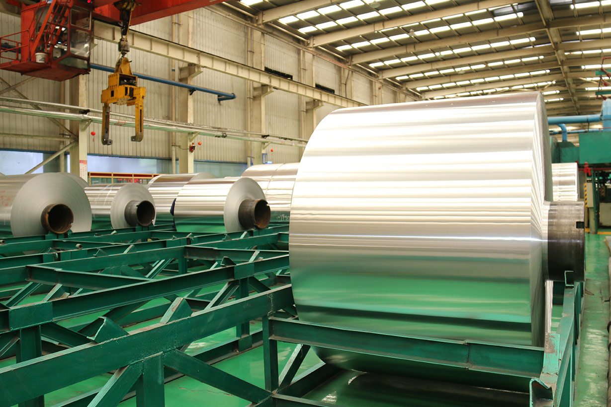 801191免费视频污APP