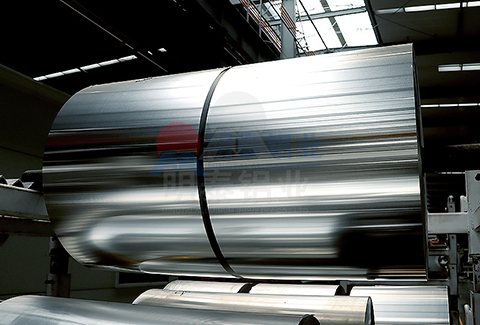 123591免费视频污APP