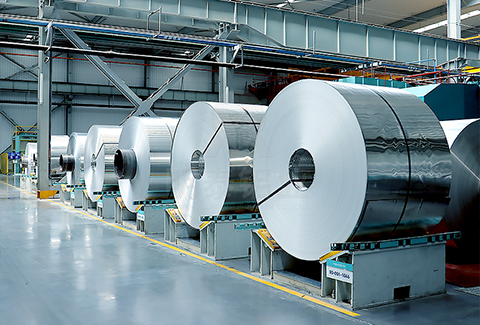 310591免费黄片下载